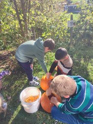 WhatsApp_Image_2025-11-06_at_08