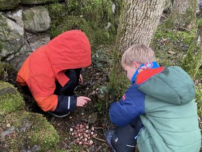 20251120_090643757_iOS