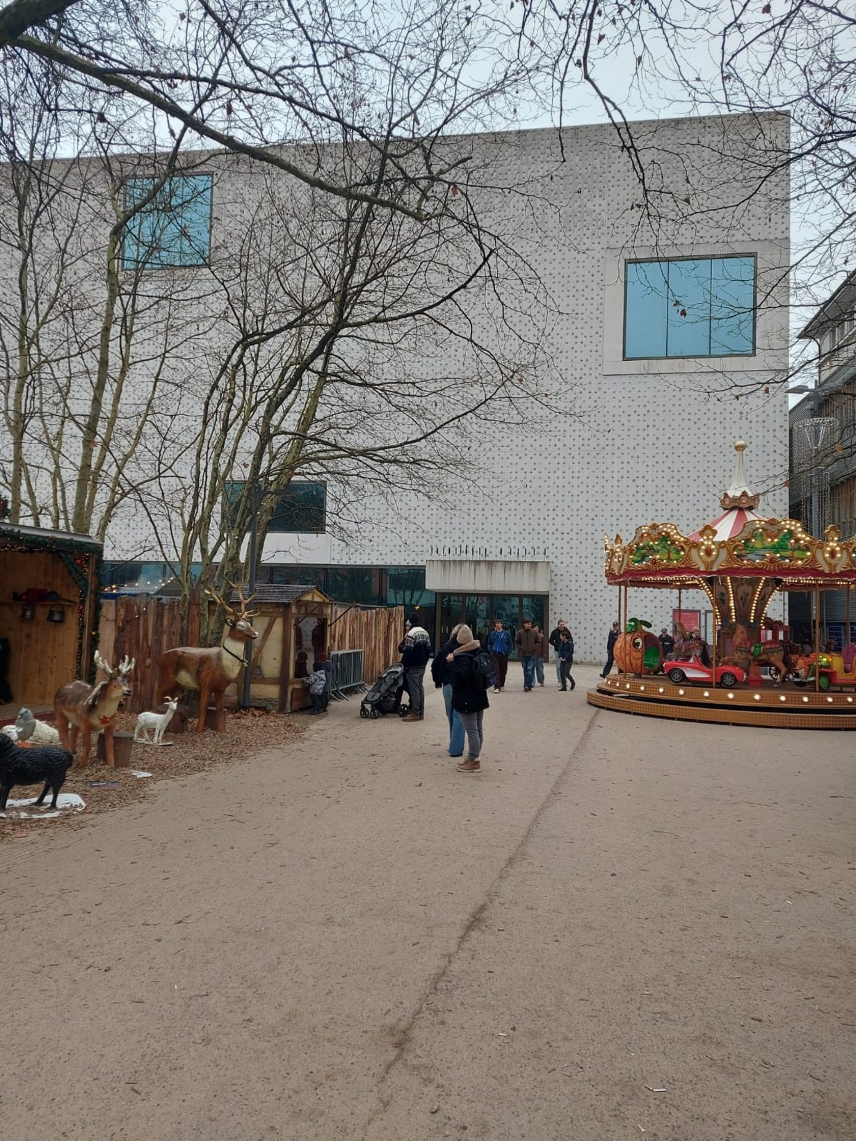 WhatsApp_Image_2026-01-06_at_10