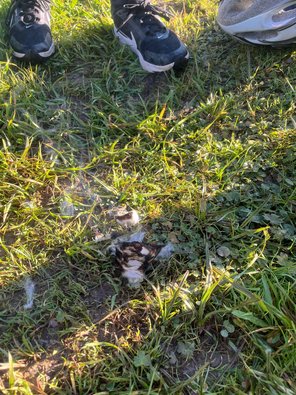 WhatsApp_Image_2025-10-16_at_10