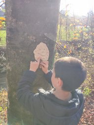 WhatsApp_Image_2025-11-06_at_08