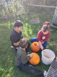 WhatsApp_Image_2025-11-06_at_08