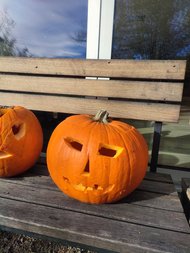 WhatsApp_Image_2025-11-06_at_08