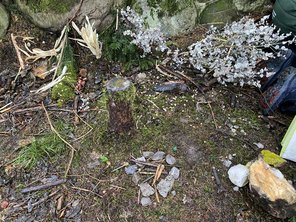 20251120_093048516_iOS