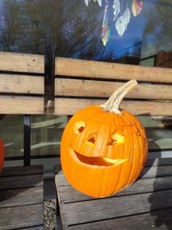 WhatsApp_Image_2025-11-06_at_08