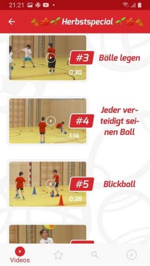 csm_Screenshot_20201117-212153_Ballschule_sterreich_3bdc18ed47