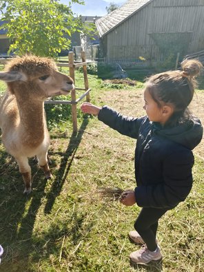 WhatsApp_Image_2025-10-21_at_10