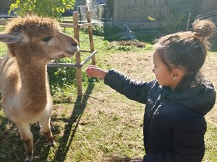 WhatsApp_Image_2025-10-21_at_10