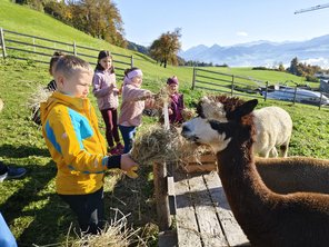 WhatsApp_Image_2025-10-21_at_10