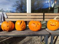 WhatsApp_Image_2025-11-06_at_08