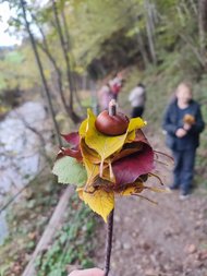 WhatsApp_Image_2025-10-16_at_09