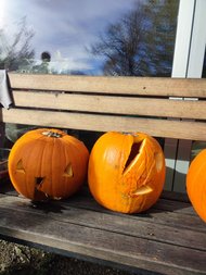 WhatsApp_Image_2025-11-06_at_08